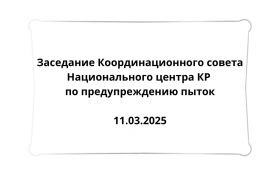 Заседание Координационного совета Национального центра Кыргызской Республики по предупреждению пыток