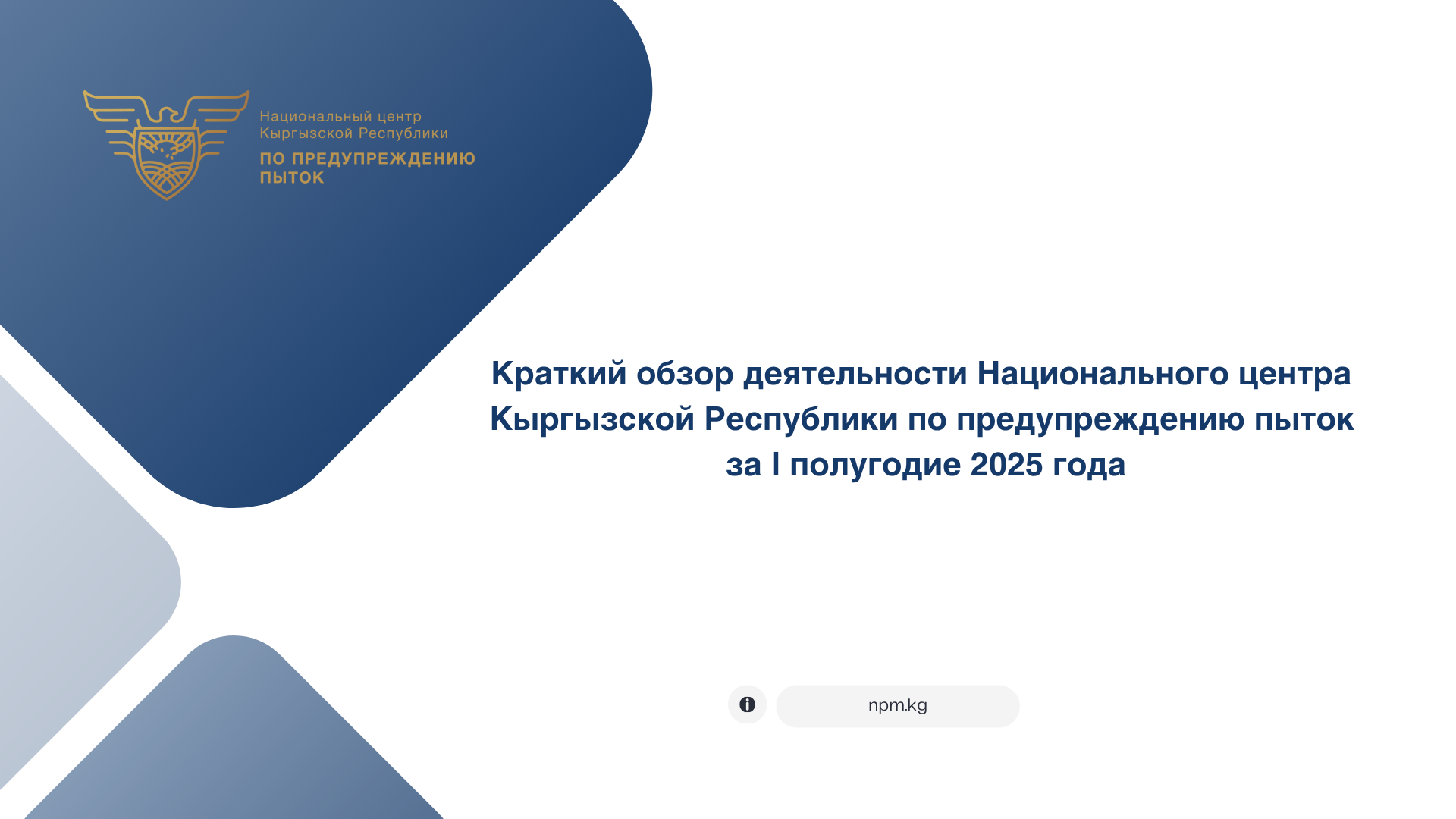 Краткий обзор деятельности Национального центра Кыргызской Республики по предупреждению пыток за I полугодие 2025 года